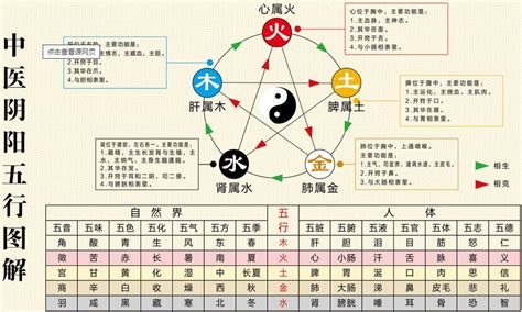 木水|五行生克（哲学理论）